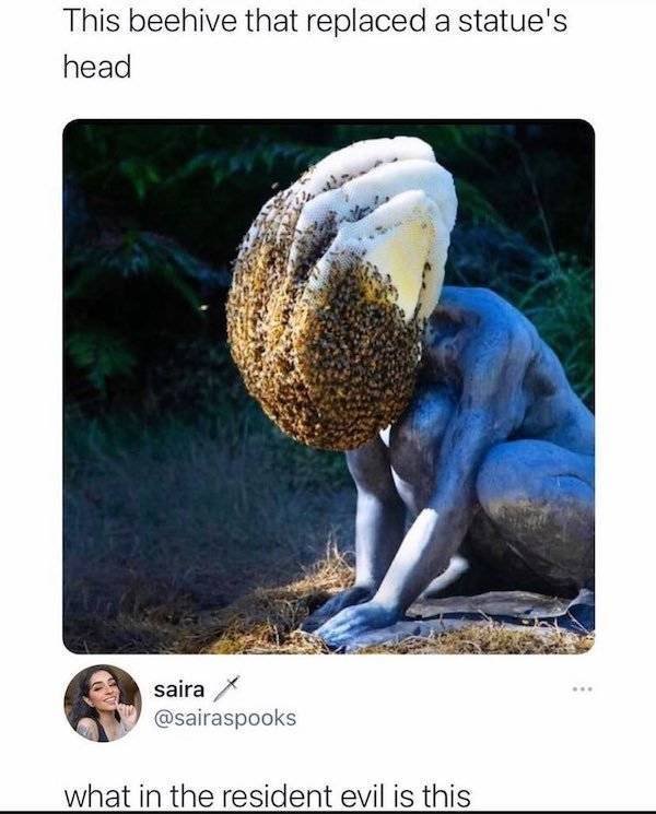What Is Going On Here? (42 pics)
