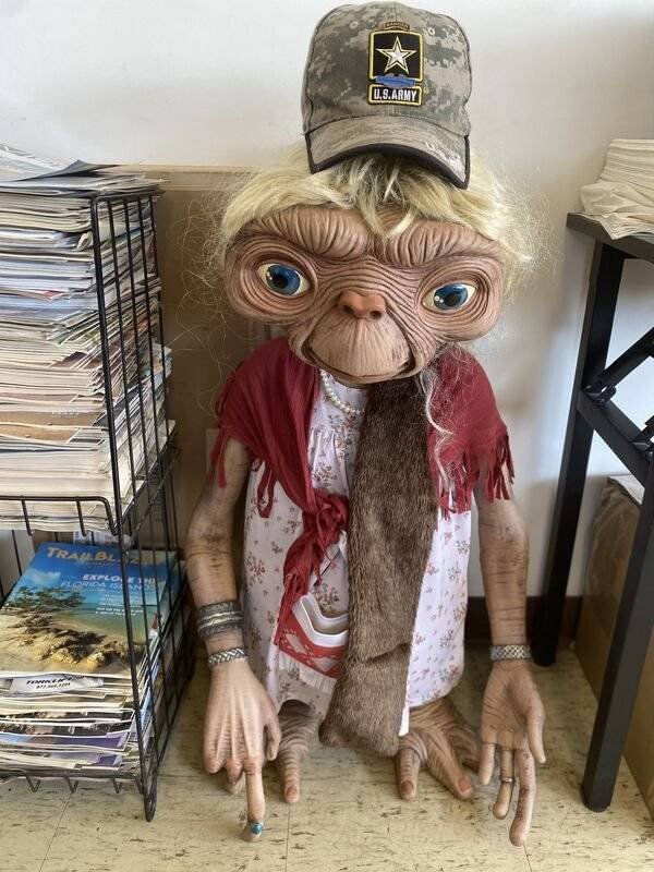What Is Going On Here? (42 pics)