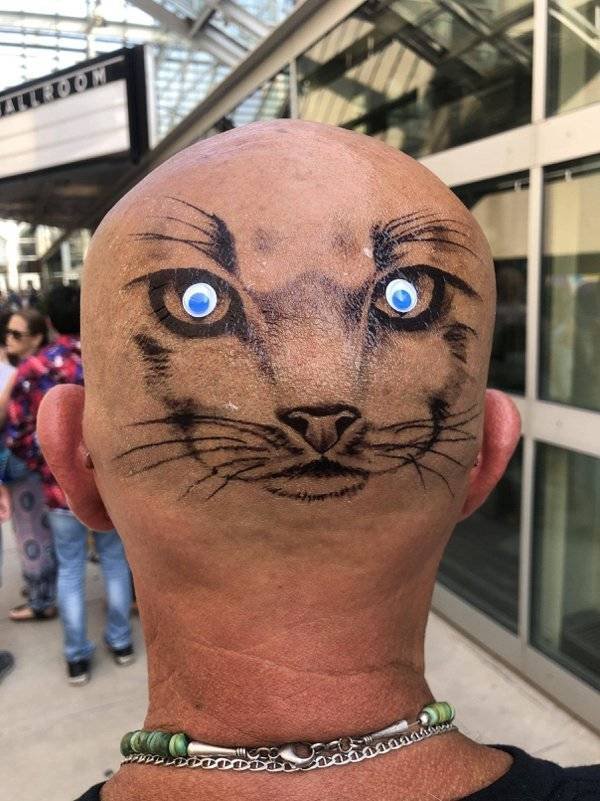 What Is Going On Here? (42 pics)