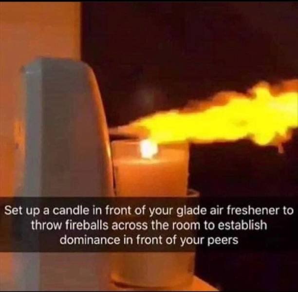 What Is Going On Here? (42 pics)