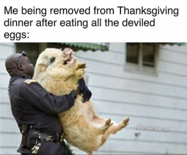 Thanksgiving Day Memes (20 pics)