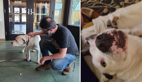 Animals Before And After Adoption (27 pics)