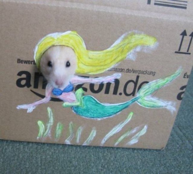 Funny Animals (43 pics)