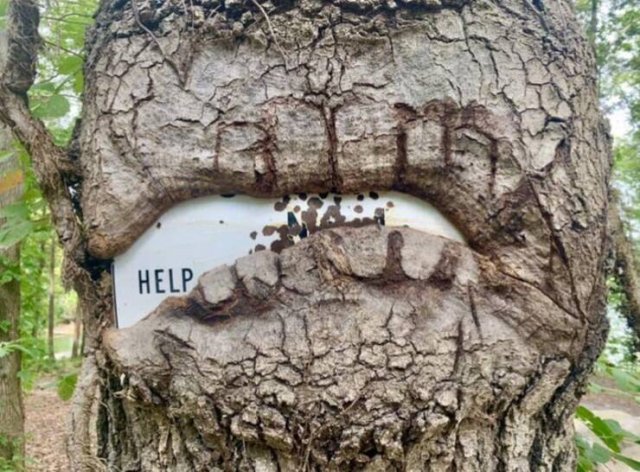 Unusual Photos (25 pics)