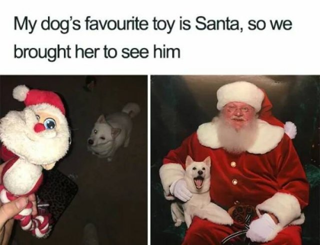 Christmas Memes (27 pics)