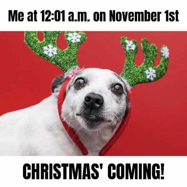 Christmas Memes (27 pics)