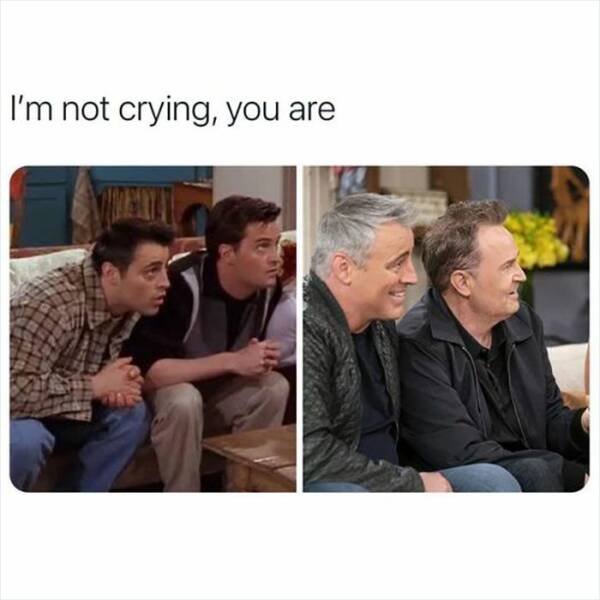 Memes From The "Friends" (15 pics)