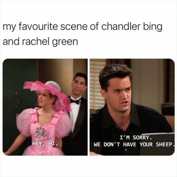 Memes From The "Friends" (15 pics)