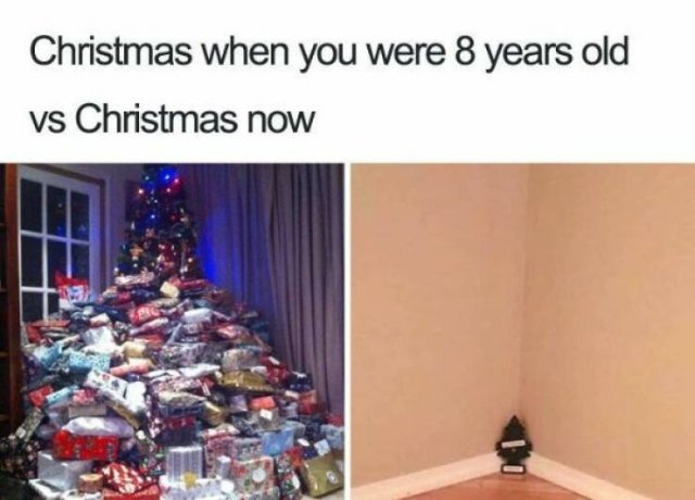 Christmas Memes (27 pics)