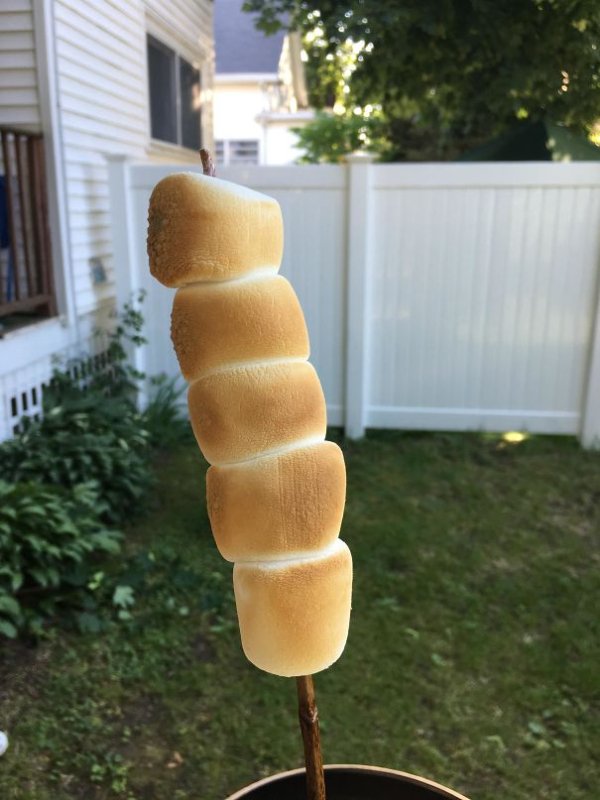 Photos For Perfectionists (28 pics) Photos For Perfectionists (28 pics)