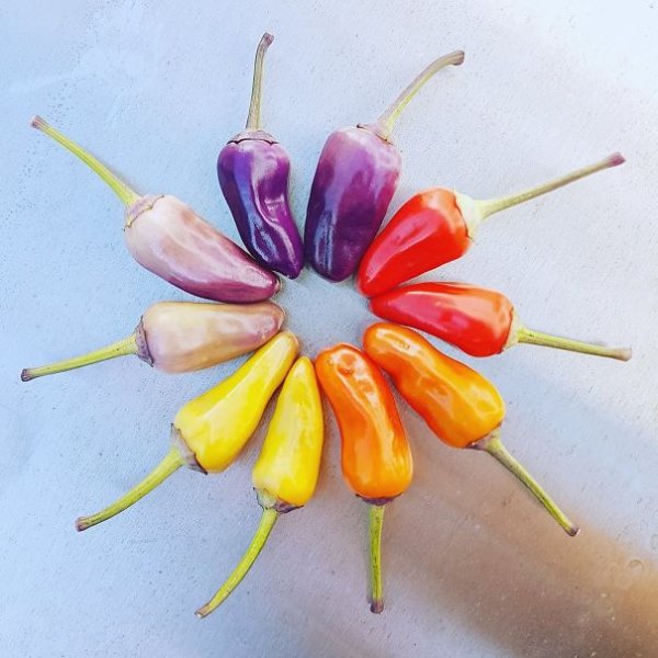 Photos For Perfectionists (28 pics)