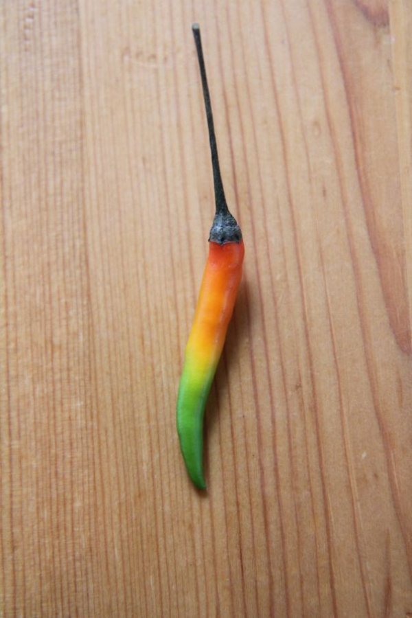Photos For Perfectionists (28 pics)