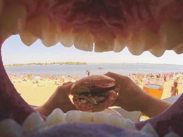Weird Photos (24 pics)