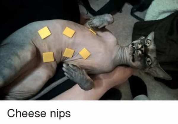 Strange And Awful Dishes (32 pics)