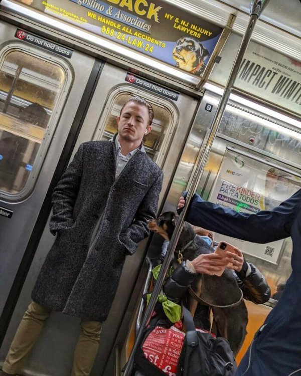Unexpected Coincidences In Public Transport (29 pics)