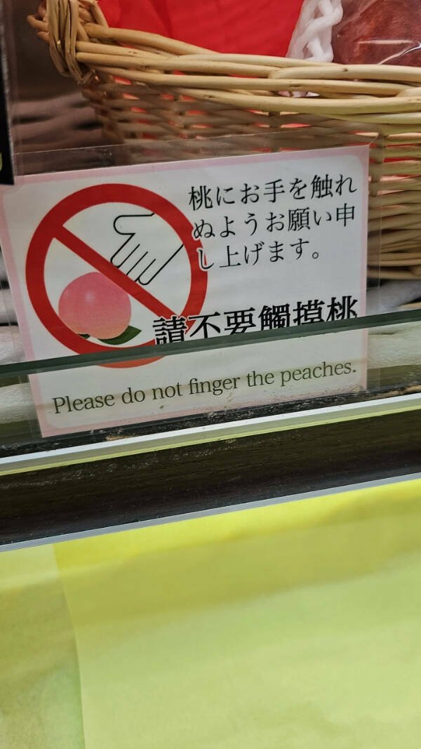 Failed Translation (21 pics)