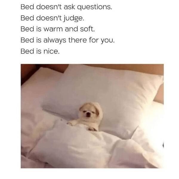Memes For Introverts (27 pics)