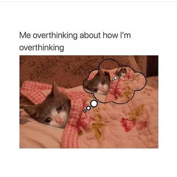 Memes For Introverts (27 pics)