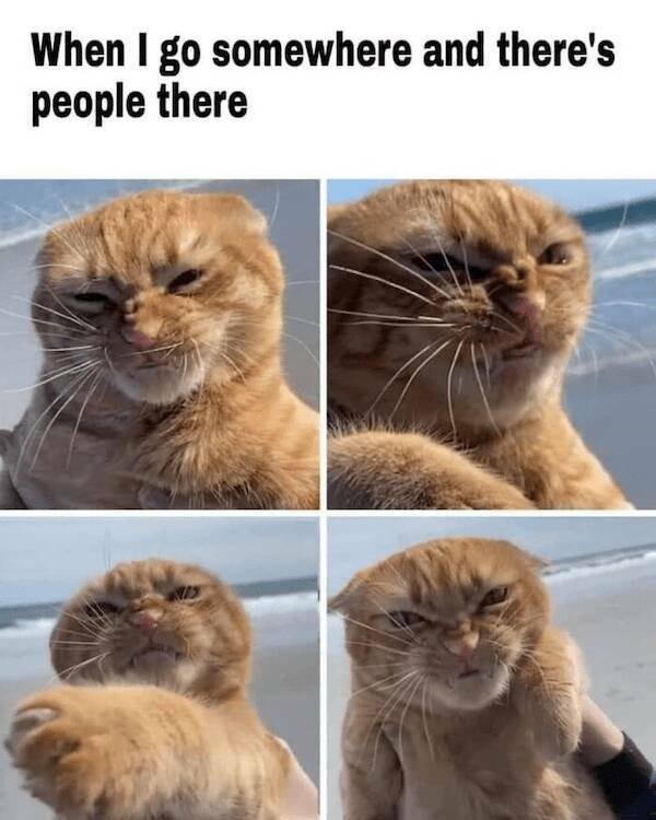 Memes For Introverts (27 pics)