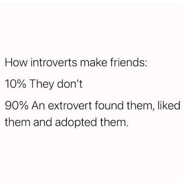 Memes For Introverts (27 pics)