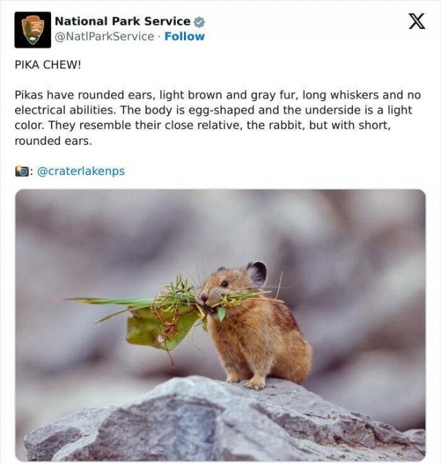 National Park Service's Jokes (25 pics)