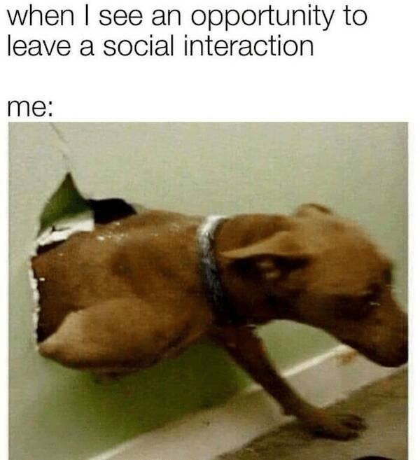 Memes For Introverts (27 pics)