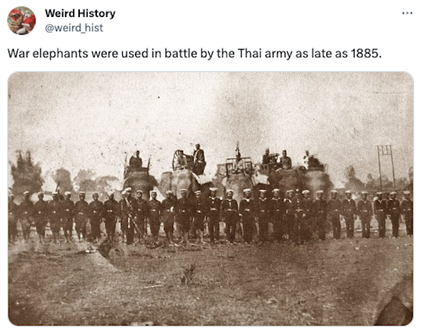 Interesting Historical Facts And Photos (31 pics)
