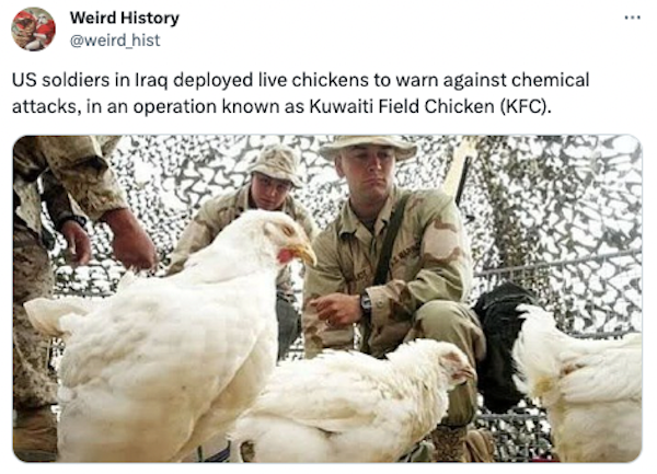 Interesting Historical Facts And Photos (31 pics)