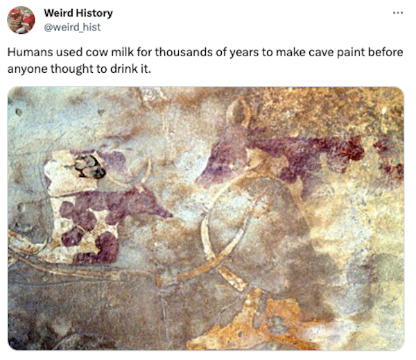 Interesting Historical Facts And Photos (31 pics)
