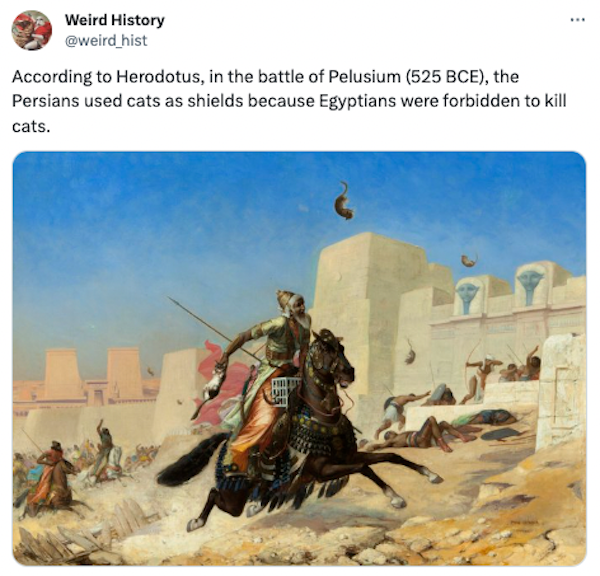 Interesting Historical Facts And Photos (31 pics)