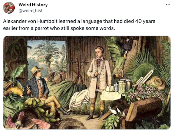 Interesting Historical Facts And Photos (31 pics)