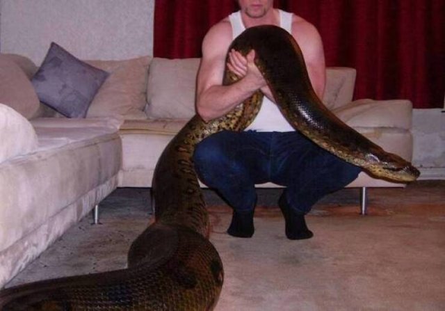 Strange Things And Designs (39 pics)