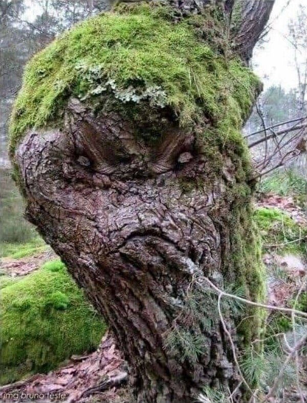Strange Things And Designs (39 pics)
