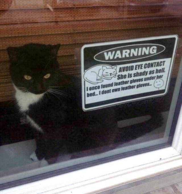 Weird And Funny Neighbors (22 pics)