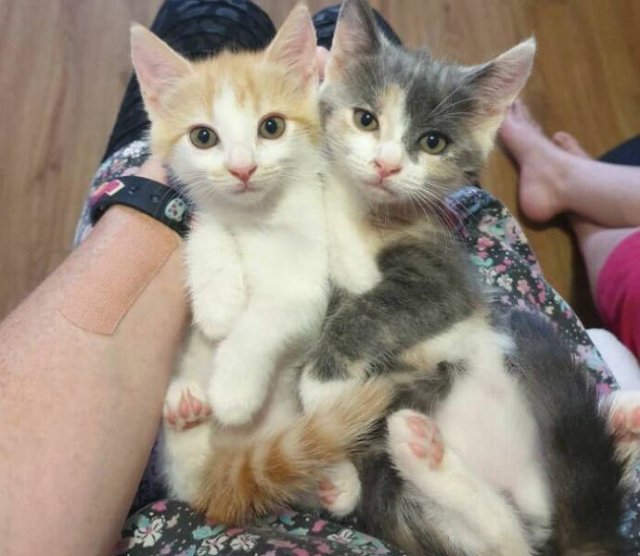 Life Is Beautiful (20 pics)