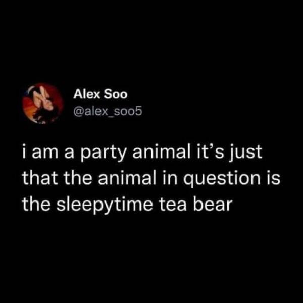 Funny Memes (20 pics)