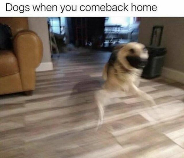 Funny Memes (20 pics)