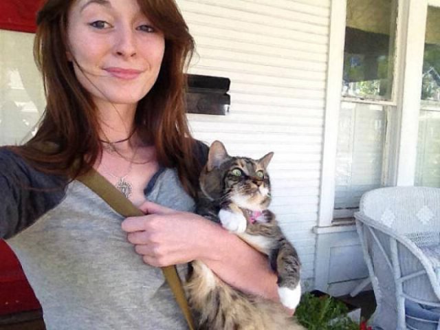 Funny Cats (20 pics)