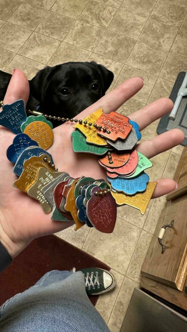 Unexpected Finds And Discoveries (22 pics) Unexpected Finds And Discoveries (22 pics)