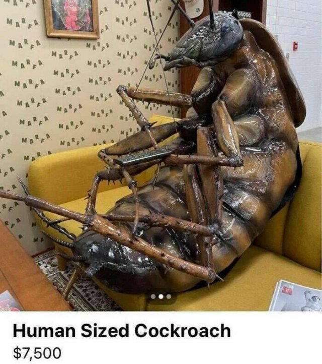 Weird Goods In The Internet (28 pics)