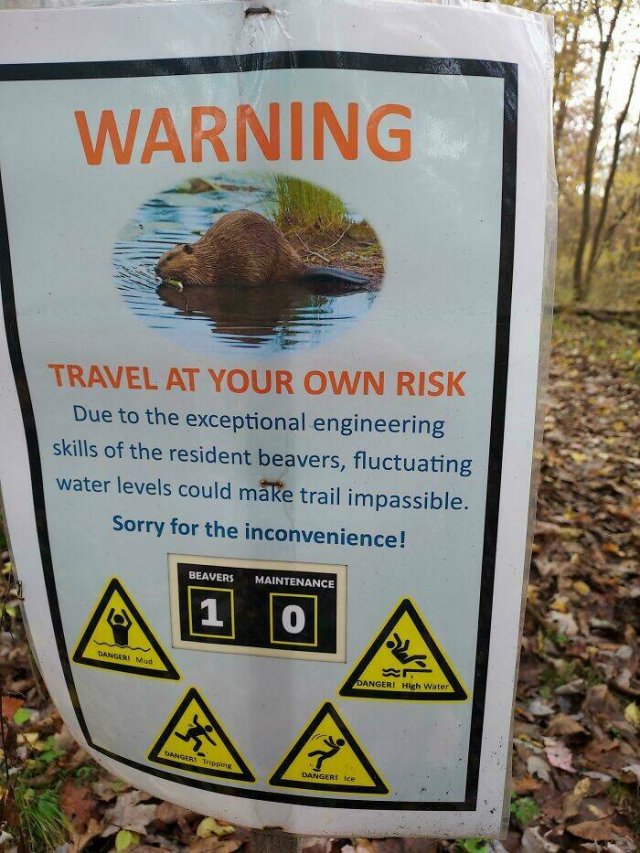 Unexpected Finds And Discoveries (22 pics) Unexpected Finds And Discoveries (22 pics)