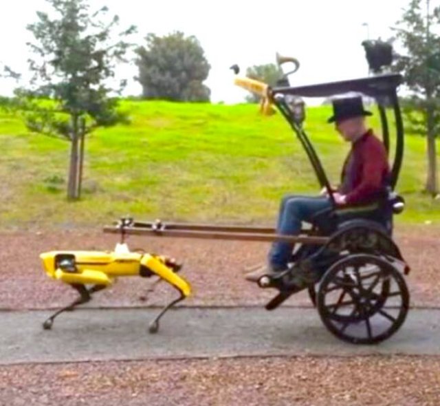 What Is Going On Here? (25 pics)