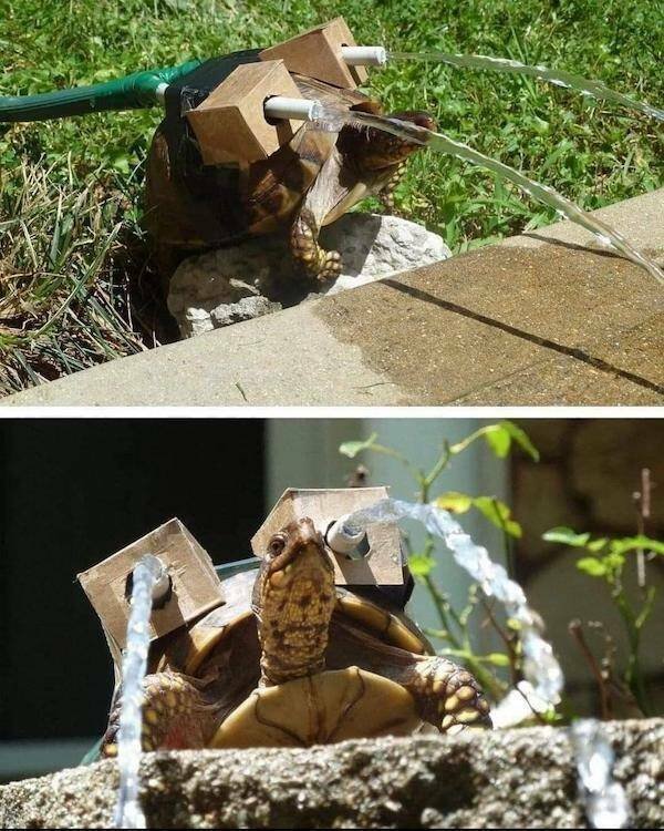What Is Going On Here? (25 pics)