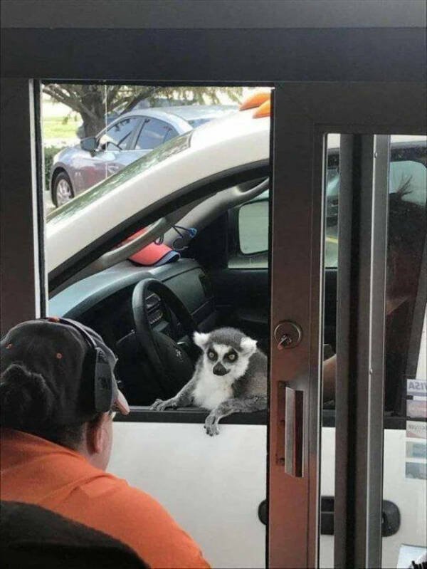 What Is Going On Here? (25 pics)