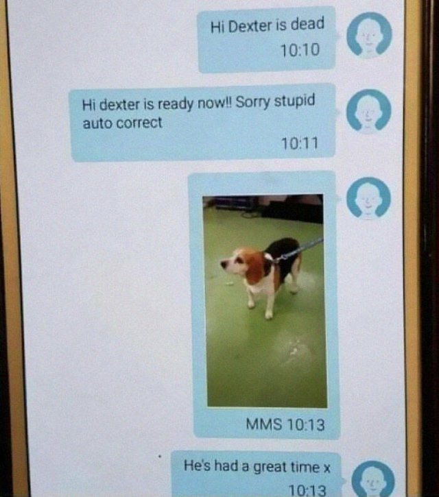 Autocorrect Fails (21 pics)
