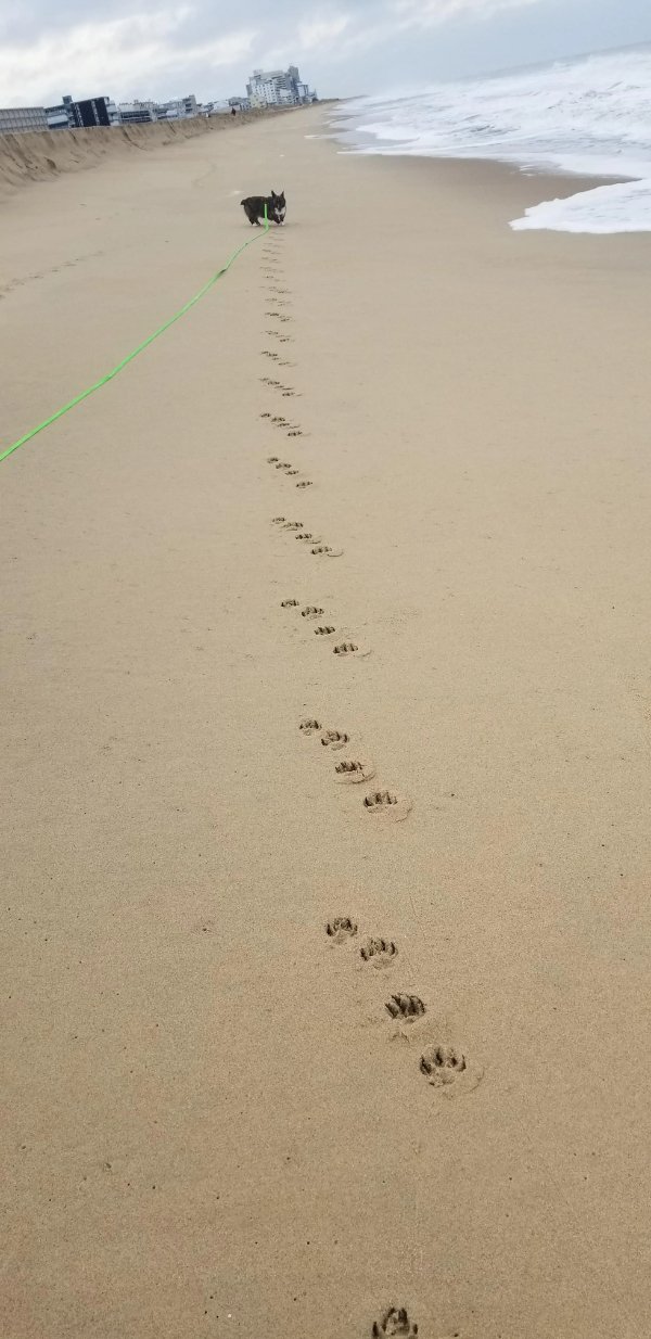 Interesting And Unusual Finds (17 pics) Interesting And Unusual Finds (17 pics)