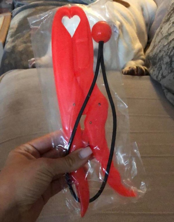 What Are These Things? (14 pics)