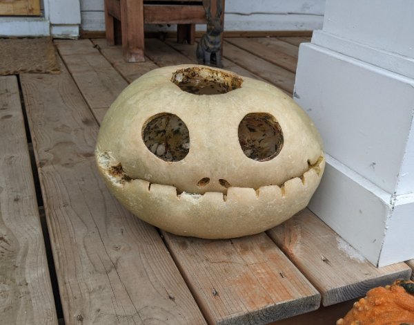 Interesting And Unusual Finds (17 pics) Interesting And Unusual Finds (17 pics)