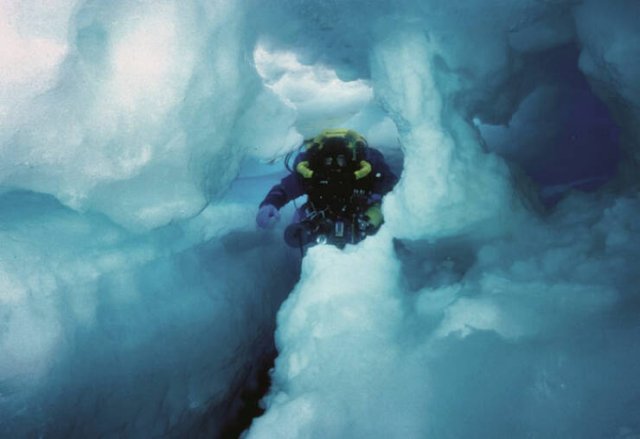 Oceanic Nightmares (28 pics)
