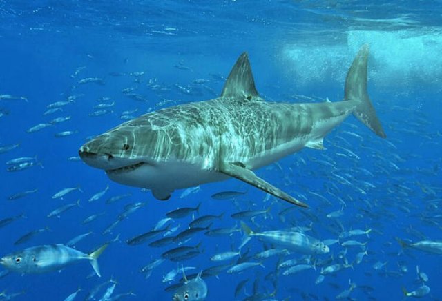 Oceanic Nightmares (28 pics)